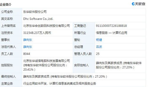 东华软件与宣亚国际合作引市场热潮 信息系统集成服务成投资新宠