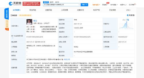 信息系统集成服务 构建高效协同的数字生态